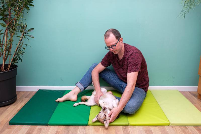 Miguel Lombardía realizando un masaje a un perro